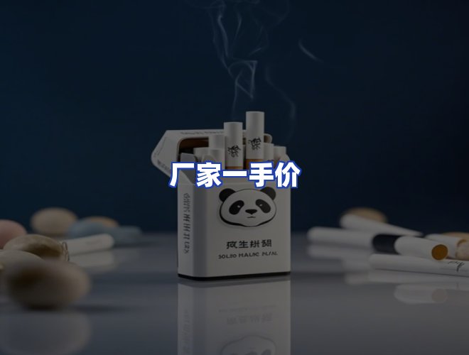 专业团队